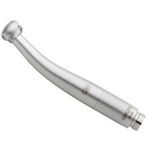 Alegra – TE – 95